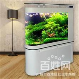 上海长宁水族有限公司清洗鱼池鱼缸出租