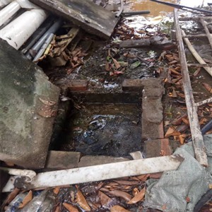 杏林区清理化粪池服务（全年无休）杏林区清理污水池作业施工电话