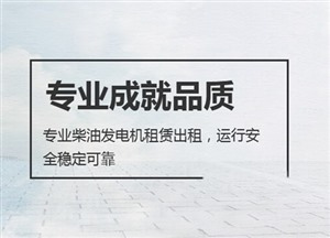 光山县发电机出租-提供光山县24小时电力保障