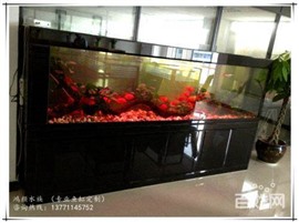 上海闸北王一鱼缸长期维护鱼缸清洗鱼池清洗