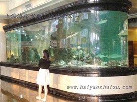 向博水族拥有多名专业的水族工程施工及设计工程师