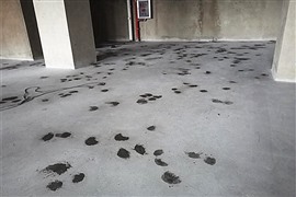 十堰水泥地面修补|宜昌水泥地面固化