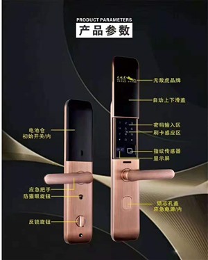 广州南沙区上门安装指纹密码锁，指纹密码锁广州专卖店，免安装费