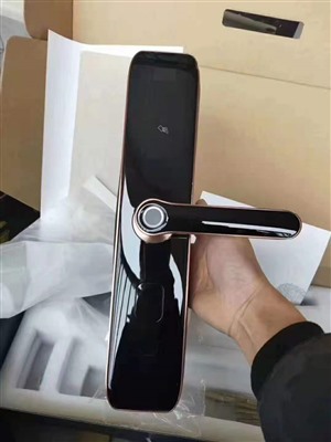 广州南沙区安装指纹密码锁，开锁换锁，指纹锁专卖店直销价格低