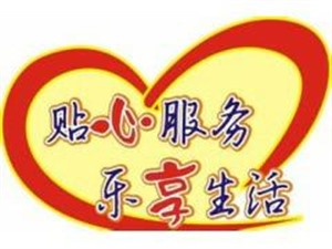 合肥威廉斯壁挂炉常见故障代码维修显示E1E2等故障维修电话 