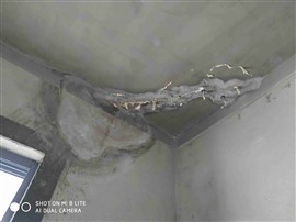 临桂防水补漏