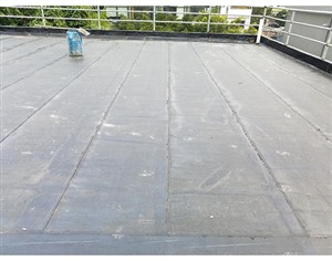 屋面防水涂料的选择有哪些要求