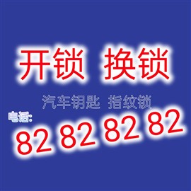 上门开锁乐清 乐成 万岙 盐盘 牛鼻洞 柳市 湖横开锁电话
