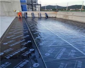 天津宁河彩钢板喷漆翻新除锈屋面防水
