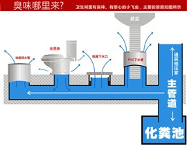 洛阳厕所返味怎么办?厕所异味治理