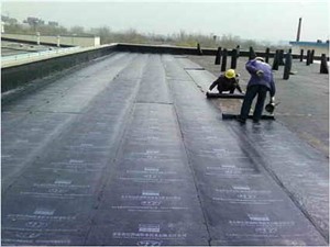 津南区彩钢板喷漆翻新除锈 楼顶铺油毡防水工程