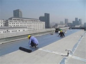 湛江市专业漏水检测、防水补漏、正规，价格实在透明