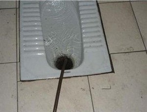 专业通下水