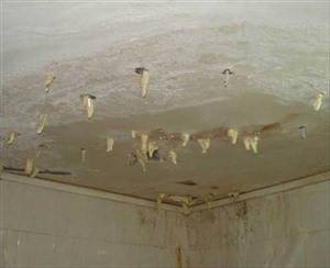 乐平市补漏防水电话-乐平市防水补漏-厕所防水补漏工程