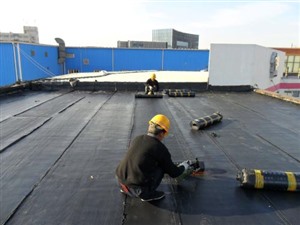 源城区洗手间做防水 屋顶防水补漏的价格 卫生间防水免砸砖补漏