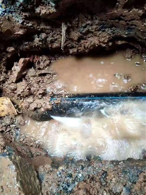 检测家庭水管漏水及修补服务，东莞查找管道漏点仪器定点技术公司