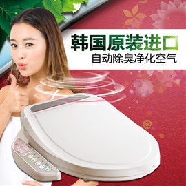 专业师傅上门-智能马桶-智能马桶盖-维修