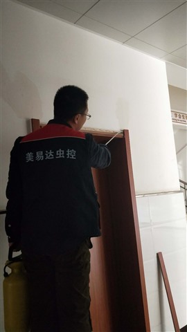 西安上门灭蚊蝇公司，蚊蝇防治到位，消杀干净彻底