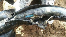 南昌电缆故障检测、电缆短路断路检测 、线路故障点定位
