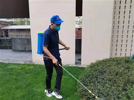 西安除白蚁公司，灭虫技术好，专业解决各种难处理的虫蚁侵害
