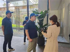 西安办公室灭蟑螂不用愁，西安亿达安全灭蟑螂，效果好