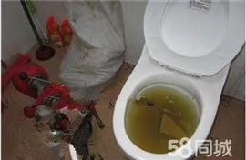 潍城小区附近马桶堵了但还缓慢下水-马桶被大便堵了小妙招