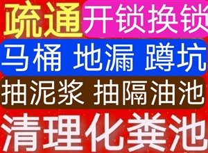 萍乡市疏通下水道 马桶 地漏 蹲坑 抽粪 抽泥浆