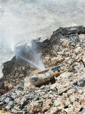 惠州工业园埋地消防管道探测电话,上门检测埋地管网漏水位置技术