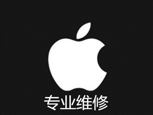 闪电蜂苹果维修