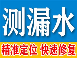武强县自来水测漏水地下管网测漏水进口仪器