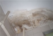 翁源卫生间渗漏维修翁源厂房漏水维修屋顶漏水维修