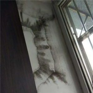 专业卫生间装修造成渗水漏水*维修