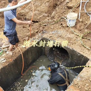 南京潜水员水下打捞服务公司 市政管道潜水封堵作业