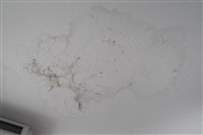 普安房屋补漏,房顶漏水维修免砸砖维修漏水