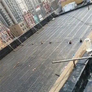 大港区专业屋面防水维修 楼顶防水 工程防水保修十年