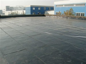 甘孜州新龙县外墙漏水维修防水施工防水经验丰富