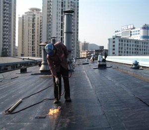 宝坻区屋面防水楼顶工程  铺油毡 SBS签订合同