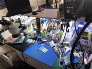 专业手机维修 换屏