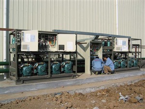 上海专业冷库维修保养厂家 低温冷库 冷藏库 保鲜库 各种冷柜