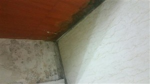 天津大港区靠近卫生间卧室墙壁渗水，如何快速解决此问题？