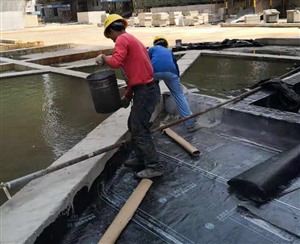 访问青浦厂区彩钢瓦漏水维修新华镇屋顶渗水施工推荐