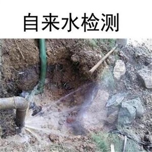 南京高淳砖强镇水管漏水检测地下消防和自来水管漏水查漏测漏