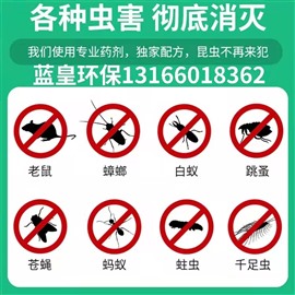 上海除蟑螂公司上门灭老鼠超市除蟑螂除四害消杀