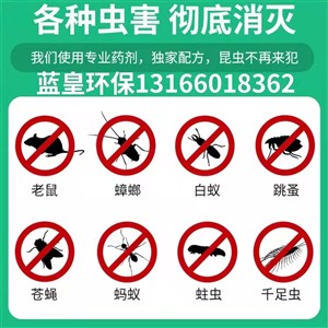 上海除虫服务 饭店灭老鼠处理方式-上门灭蟑螂*蓝皇环保