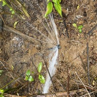 埋地消防管漏水检测、埋地水管漏水查漏点