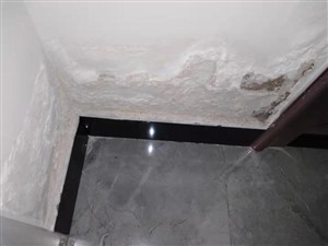 如何防止天津河东区墙面发生渗漏和发霉的现象？