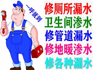 上海市闵行区专业检测漏水，闵行区水管漏水维修公司