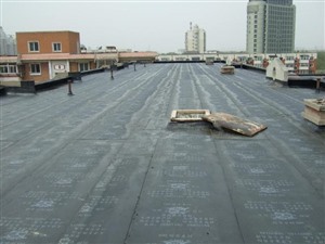 南京六合区屋面防水补漏 阳台防水 卫生间漏水防水改造