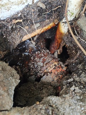 广州旧东山区地下自来水管漏水探测 暗管渗漏查漏，维修漏水