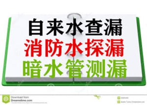 上海宝山区检测管道漏水 宝山区水管漏水查漏点